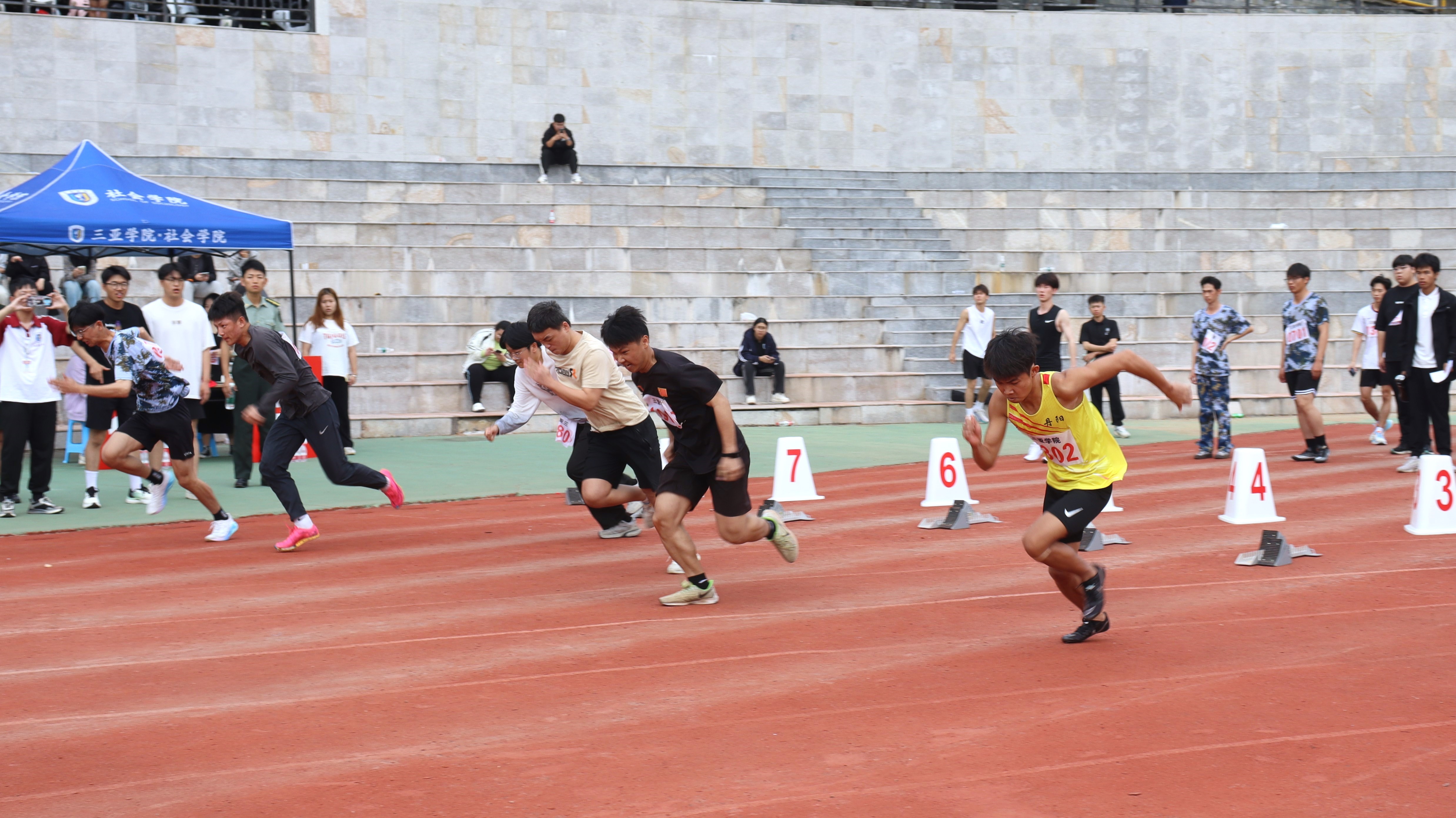 658ee9c9940a8.JPG